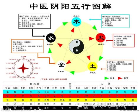 午 五行